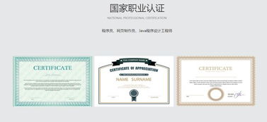 重慶電信職業(yè)學(xué)院人工智能軟件開發(fā)專業(yè) 聚焦人工智能應(yīng)用軟件開發(fā)